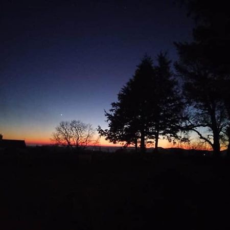 3 Tan Y Coed Villa Brynkir Bagian luar foto